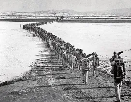 2026年中考历史一模模拟卷(考试版A4) 第29张 2026年中考历史一模模拟卷(考试版A4) 第29张