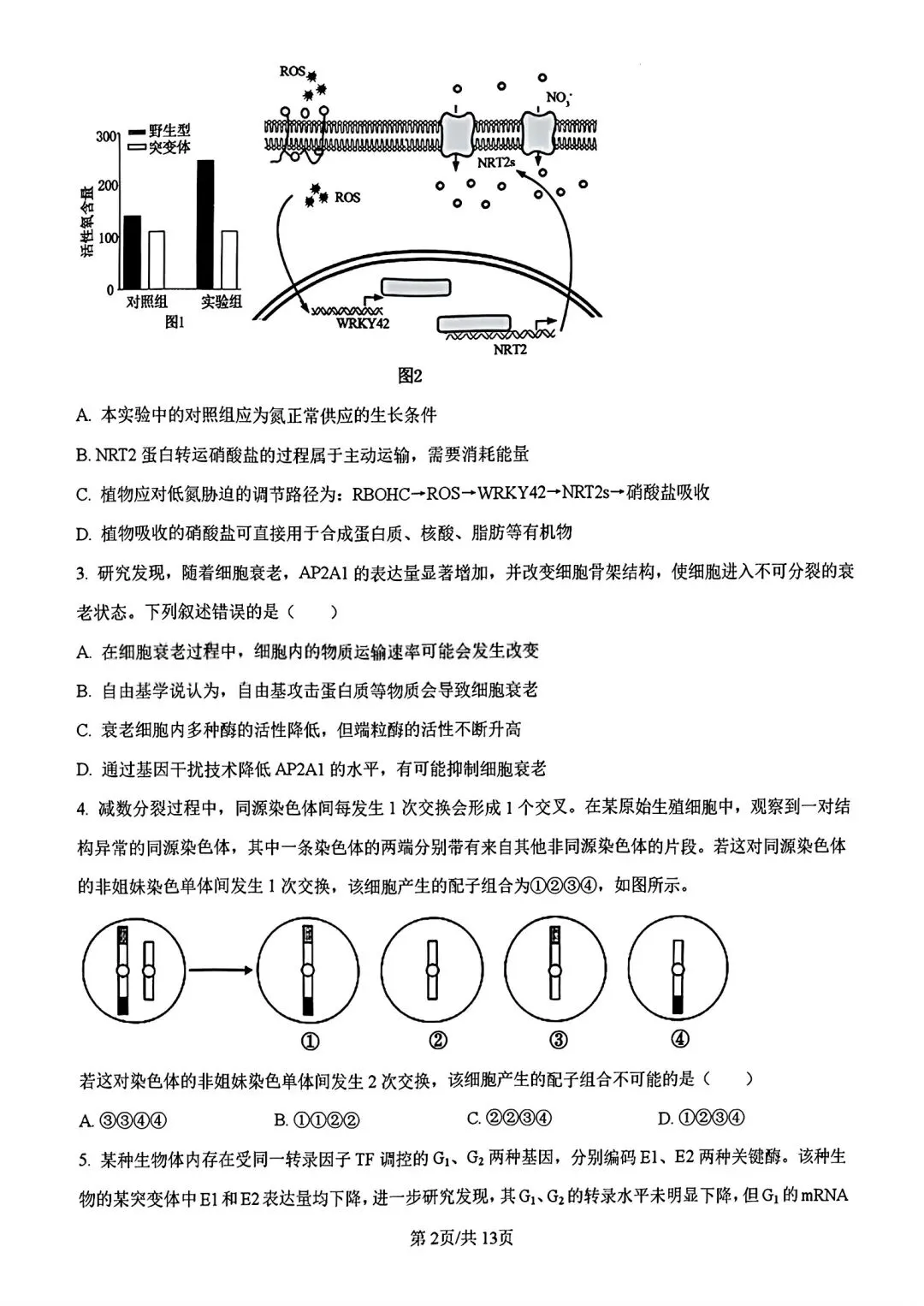 【试卷/高考】2025-2026辽宁县级重点高中协作体高三下二模4月生物(含答案)可下载 第2张
