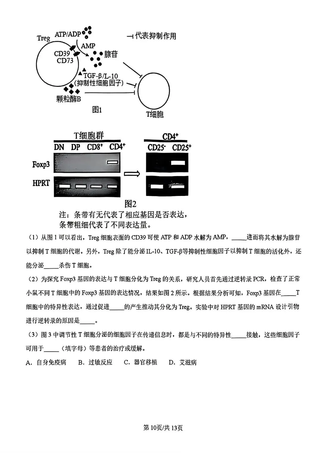 【试卷/高考】2025-2026辽宁县级重点高中协作体高三下二模4月生物(含答案)可下载 第10张