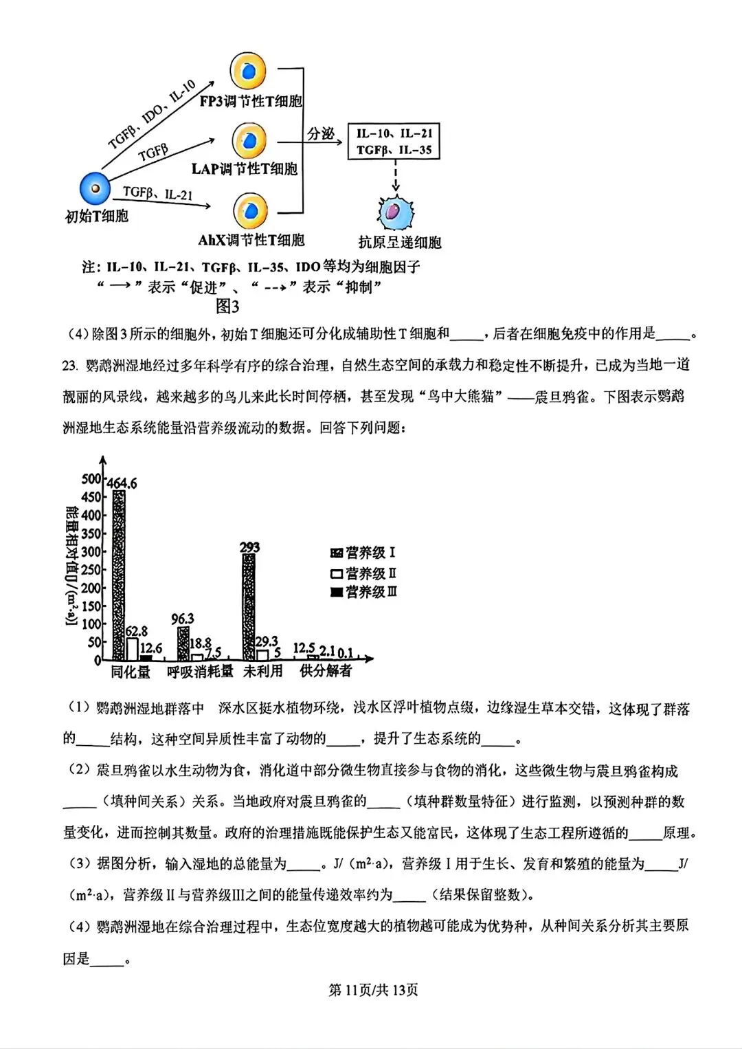 【试卷/高考】2025-2026辽宁县级重点高中协作体高三下二模4月生物(含答案)可下载 第11张