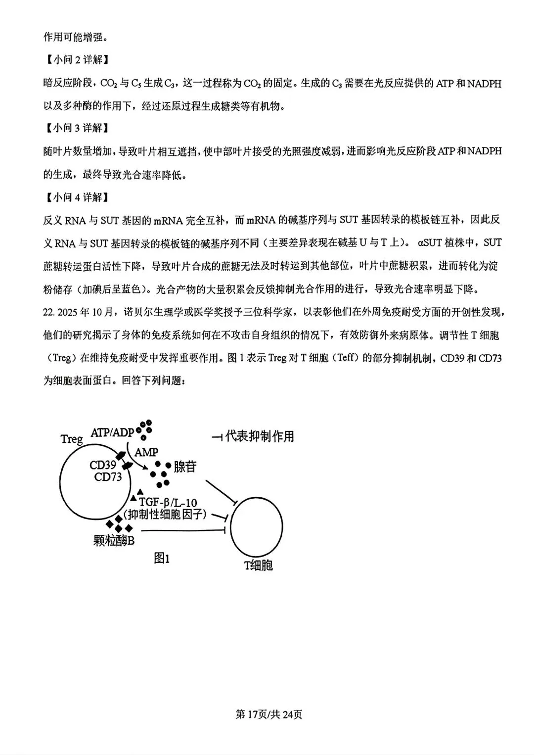 【试卷/高考】2025-2026辽宁县级重点高中协作体高三下二模4月生物(含答案)可下载 第32张