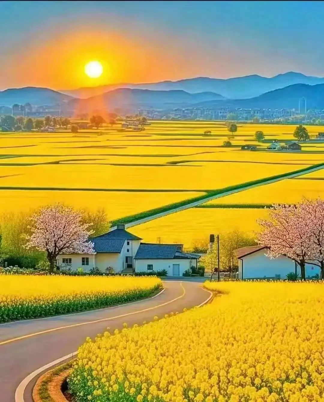 2026年山东省枣庄市初中学业水平模拟考试化学试题 第11张