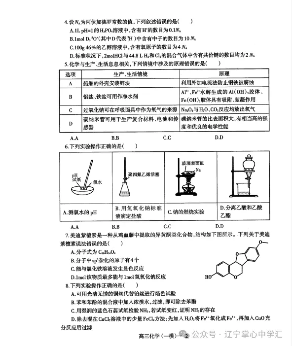 2025年3月辽宁协作体高三一模试卷+答案 第34张