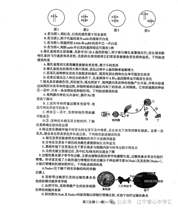 2025年3月辽宁协作体高三一模试卷+答案 第54张