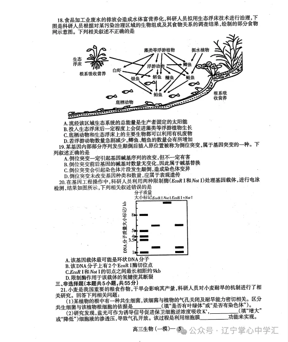 2025年3月辽宁协作体高三一模试卷+答案 第57张