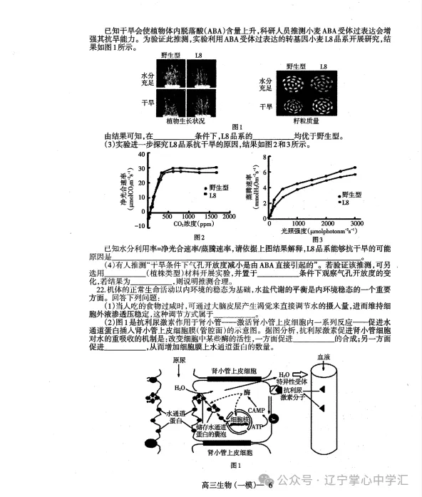 2025年3月辽宁协作体高三一模试卷+答案 第58张