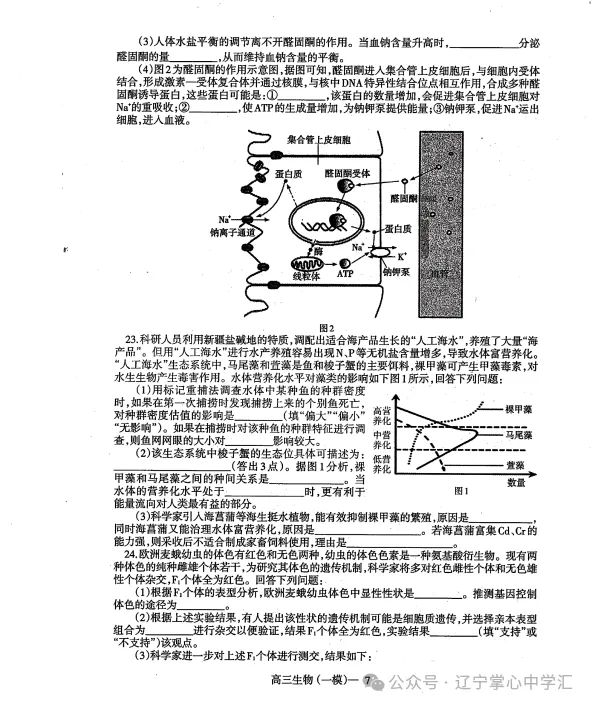 2025年3月辽宁协作体高三一模试卷+答案 第59张