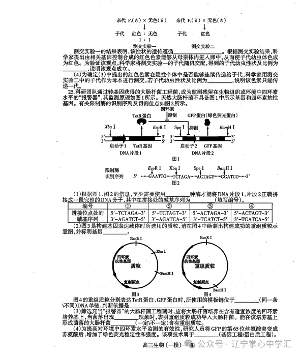 2025年3月辽宁协作体高三一模试卷+答案 第60张