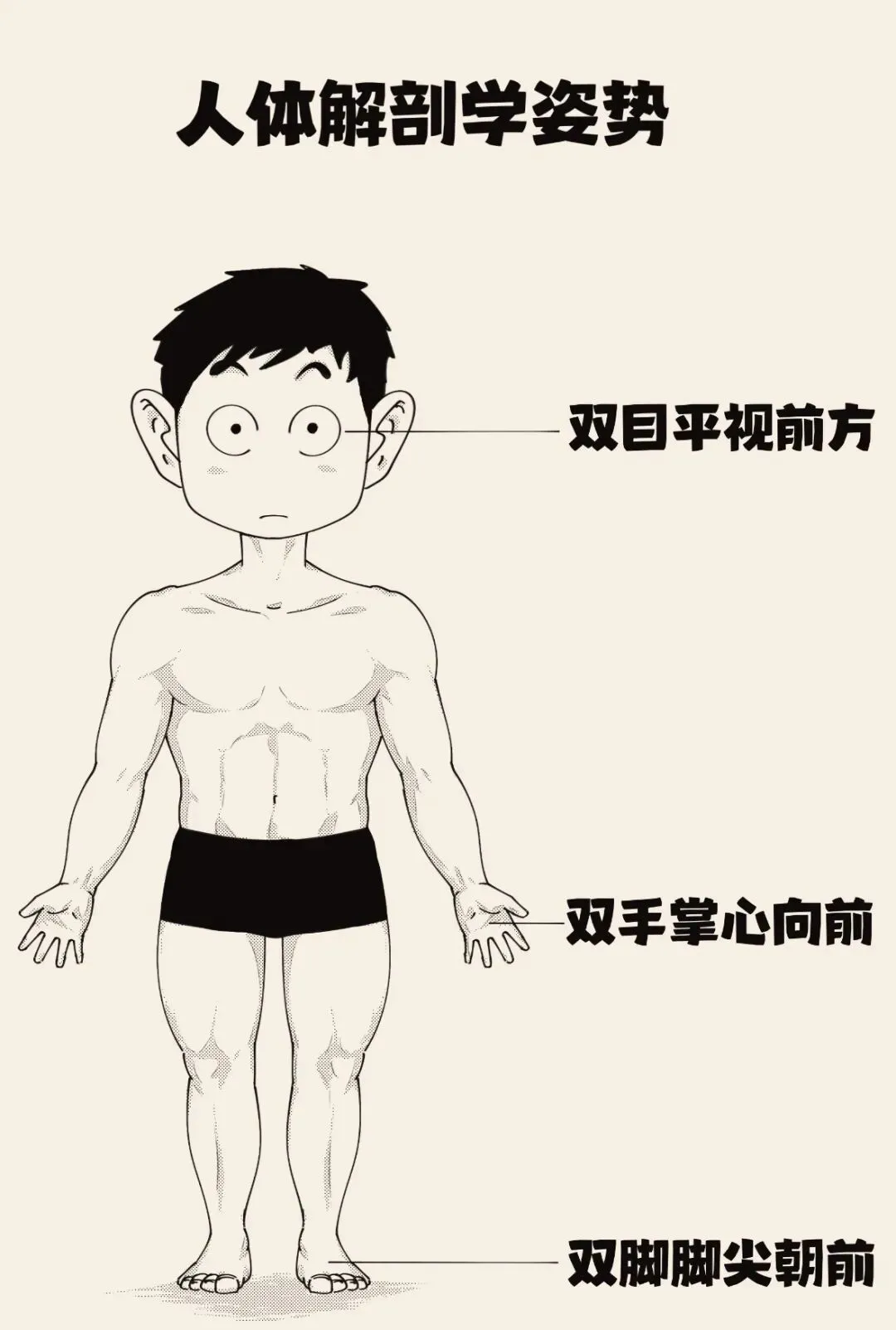 2026医学基础知识真题练习(4月8号) 第1张