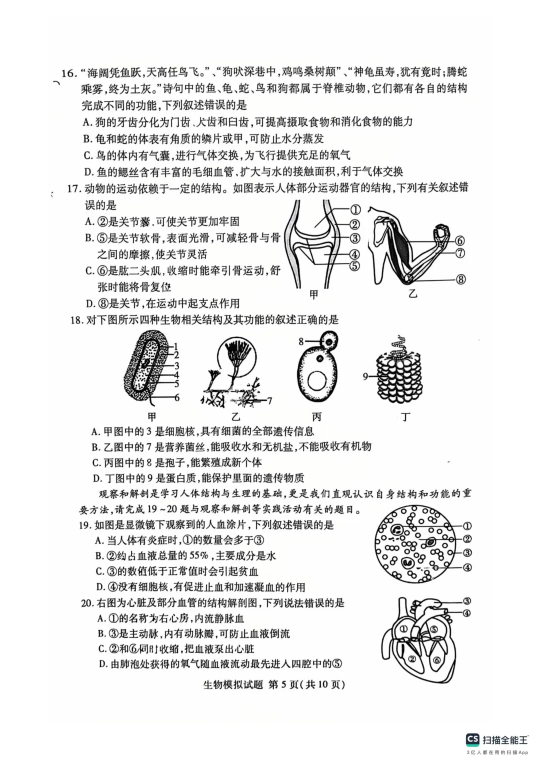 地生一模真题-2025年山东省临沂市兰山区中考一模生物试卷(完整版 + 答案) 第8张