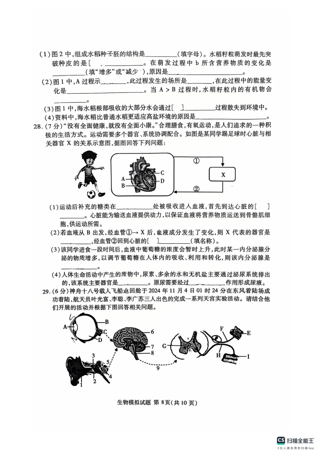 地生一模真题-2025年山东省临沂市兰山区中考一模生物试卷(完整版 + 答案) 第11张