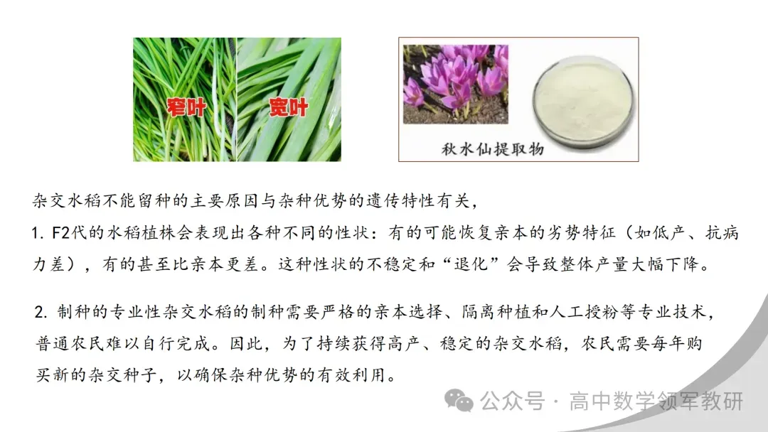 【最新一轮备考策略】聚焦情境 精研真题 善用AI——2027年高考高效备考策略F71 第42张 【最新一轮备考策略】聚焦情境 精研真题 善用AI——2027年高考高效备考策略F71 第42张