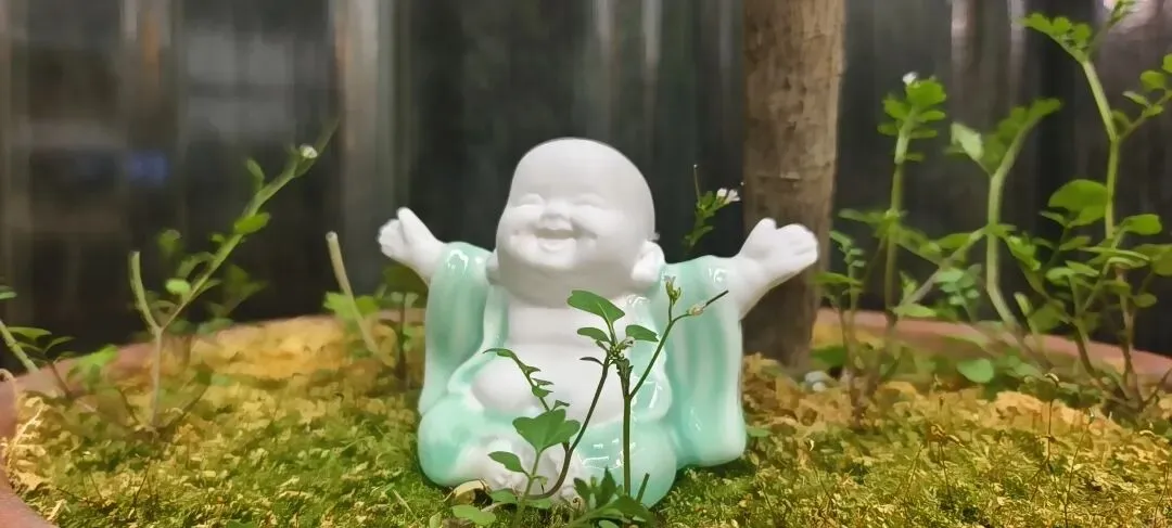 《思考中医》模拟考试卷(自拟哈) 第3张