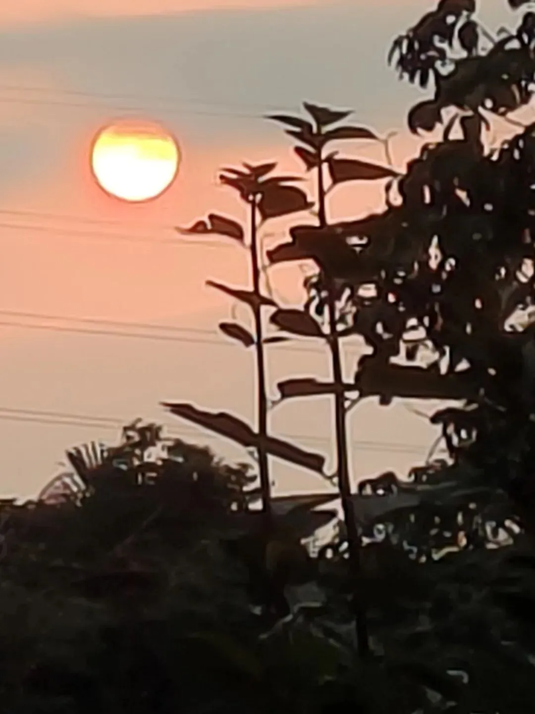 作文精选‖2026年各地高三模拟考试作文及范文 第1张 作文精选‖2026年各地高三模拟考试作文及范文 第1张