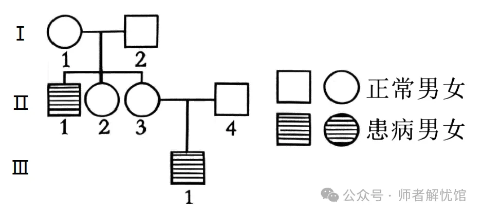 2026届山东济宁、日照市高三第一次模拟考试生物学试题和答案(附word下载) ⊙ 第8张
