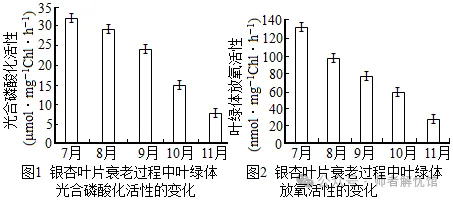 2026届山东济宁、日照市高三第一次模拟考试生物学试题和答案(附word下载) ⊙ 第12张