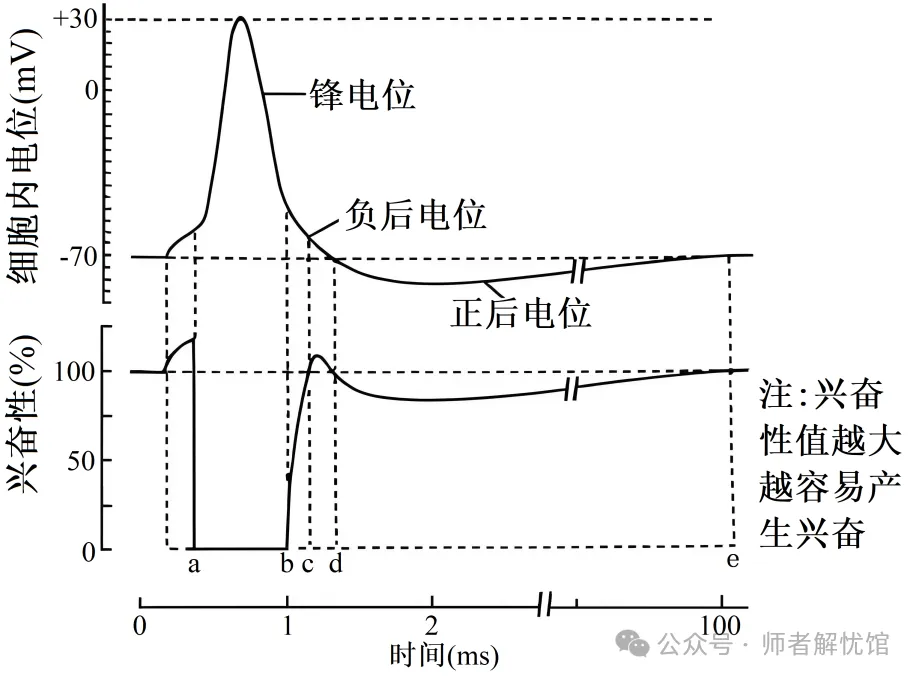 2026届山东济宁、日照市高三第一次模拟考试生物学试题和答案(附word下载) ⊙ 第14张