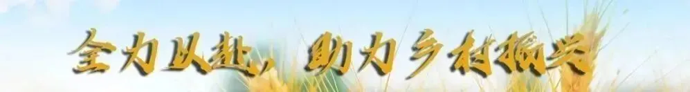 哈市公布中考(九区)总成绩位次表! 第1张