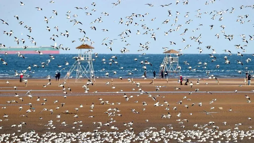 河北今年中考加分与高考加分政策保持基本一致,还有…… 第9张