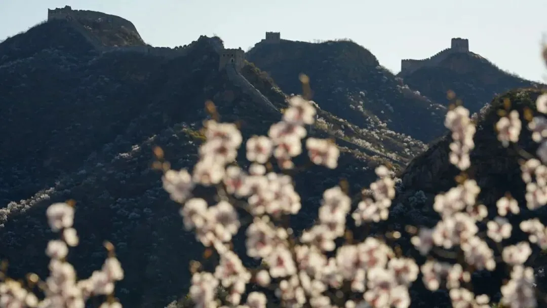 河北今年中考加分与高考加分政策保持基本一致,还有…… 第10张