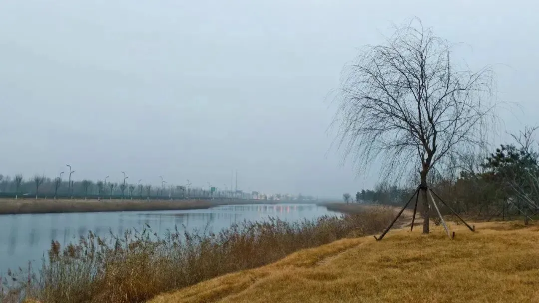 26真题:目前快递行业大学生从业比例较高,甚至是本科、硕士甚至博士学历,请问你如何看待这种现象? 第1张