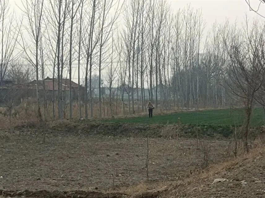 26真题:目前快递行业大学生从业比例较高,甚至是本科、硕士甚至博士学历,请问你如何看待这种现象? 第2张