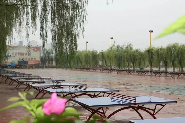 中考300分以内别慌!西安这所公办中专,低分也能上,出路一样稳 第7张 中考300分以内别慌!西安这所公办中专,低分也能上,出路一样稳 第7张