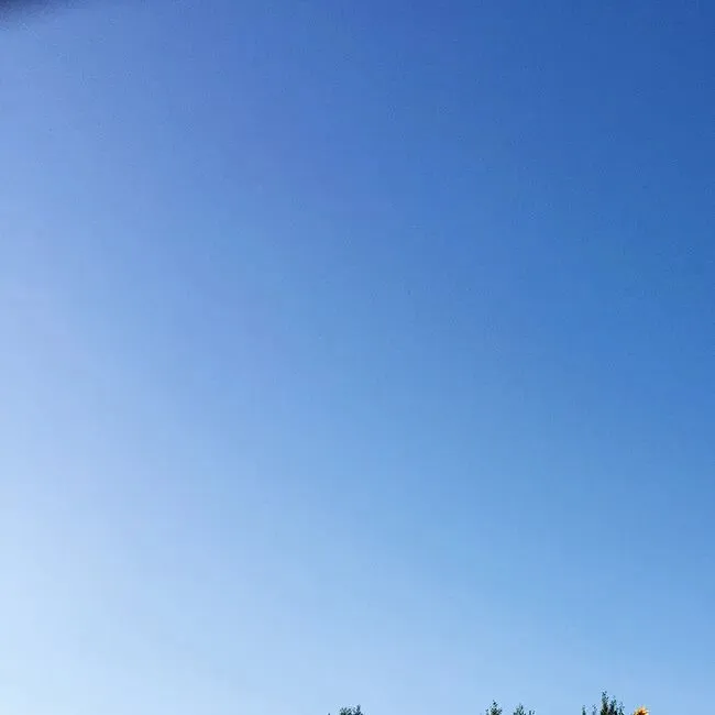 金华二模|金华十校2026年4月高三模拟考试语文试题卷+答案 第1张