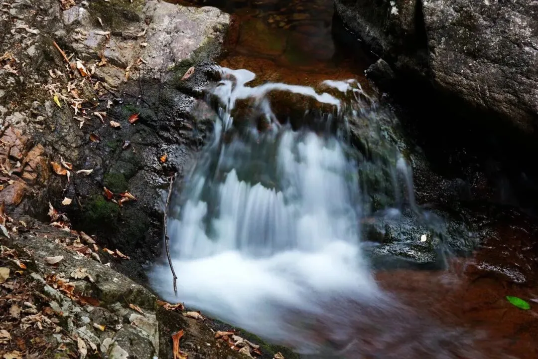 中考作文12大主题押题+高分范文 第2张