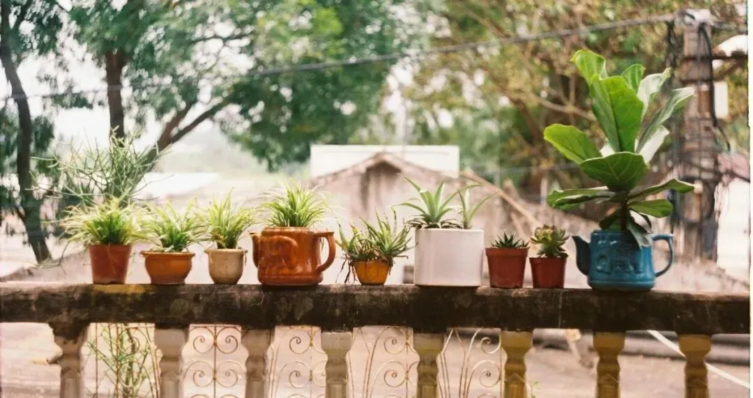 2008 Text 3 (考研英语真题【逐词逐句翻译】真正零基础) 第1张