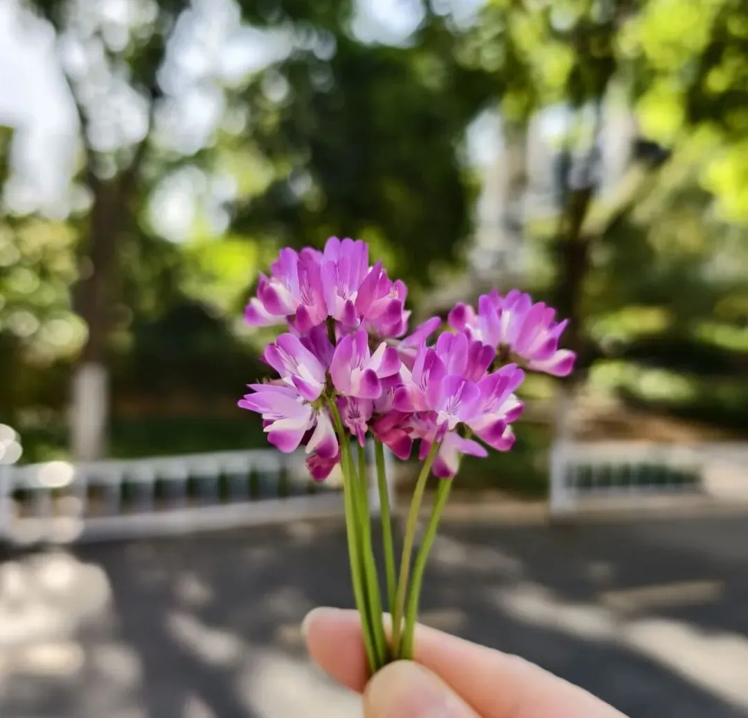 中考倒计时69天:孩子哭了 第1张