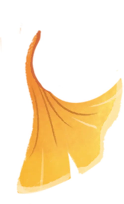 中考英语优秀作文-011 自荐信 第1张 中考英语优秀作文-011 自荐信 第1张