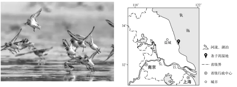 真题精讲|手把手教你搞定地理过程类问题 第4张 真题精讲|手把手教你搞定地理过程类问题 第4张