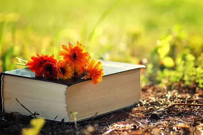 2026河北中考安排出炉! 第7张