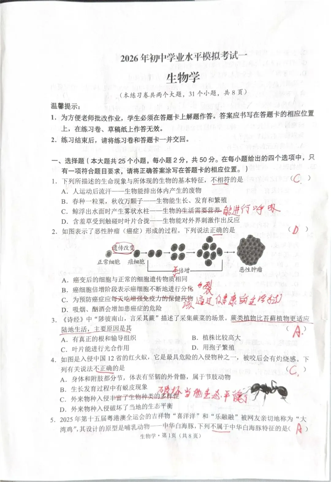 2026年初中学业水平模拟考试一 第3张