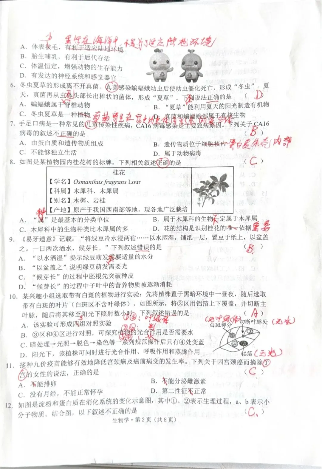 2026年初中学业水平模拟考试一 第4张