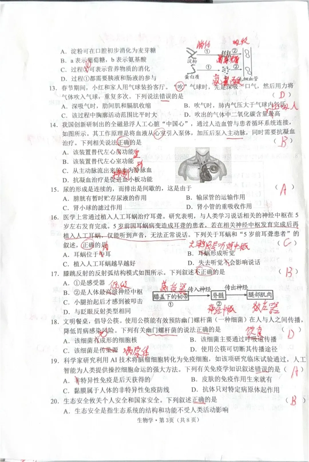 2026年初中学业水平模拟考试一 第5张