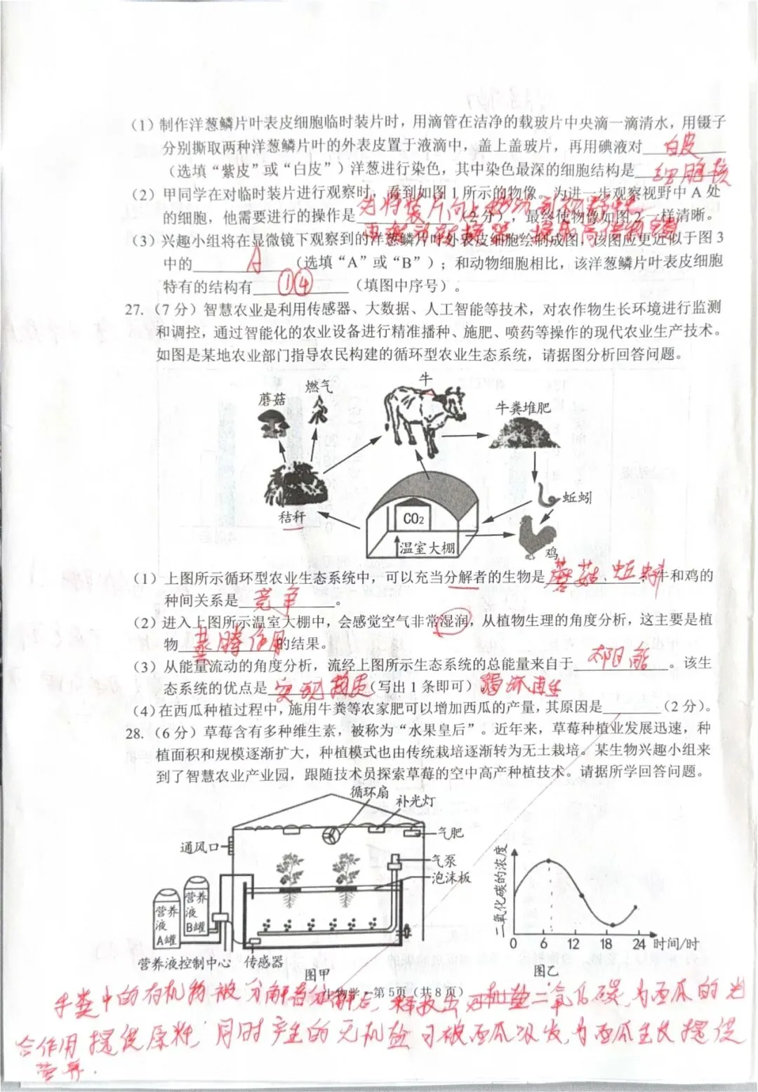 2026年初中学业水平模拟考试一 第6张
