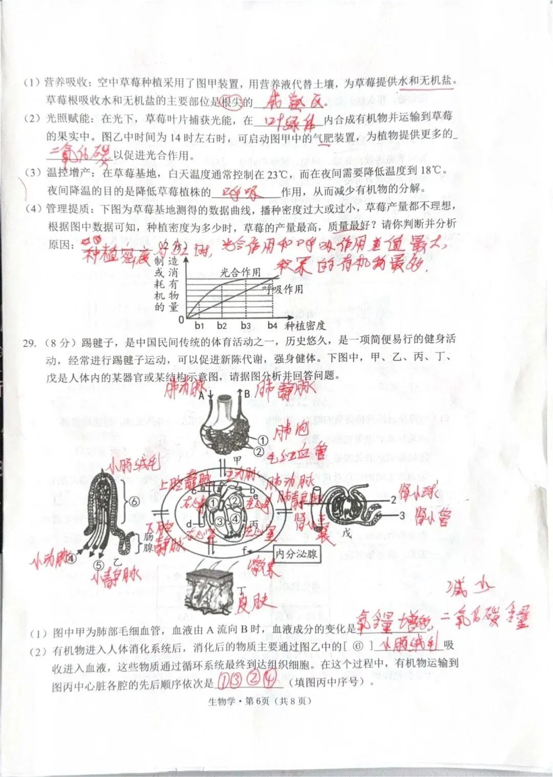 2026年初中学业水平模拟考试一 第7张