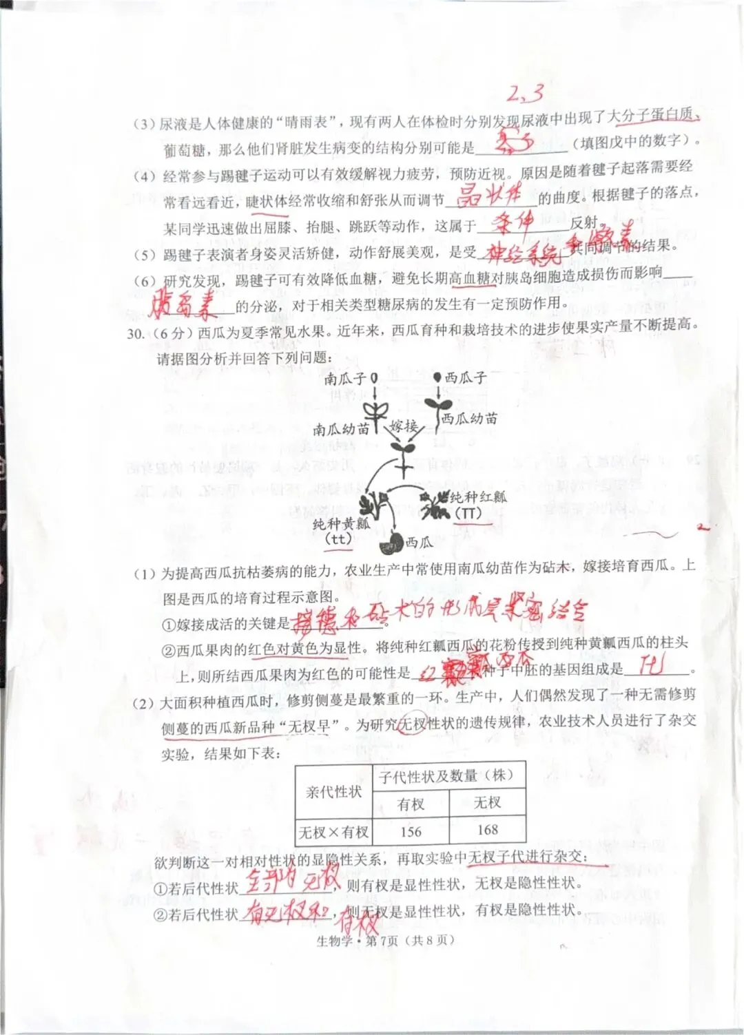 2026年初中学业水平模拟考试一 第8张