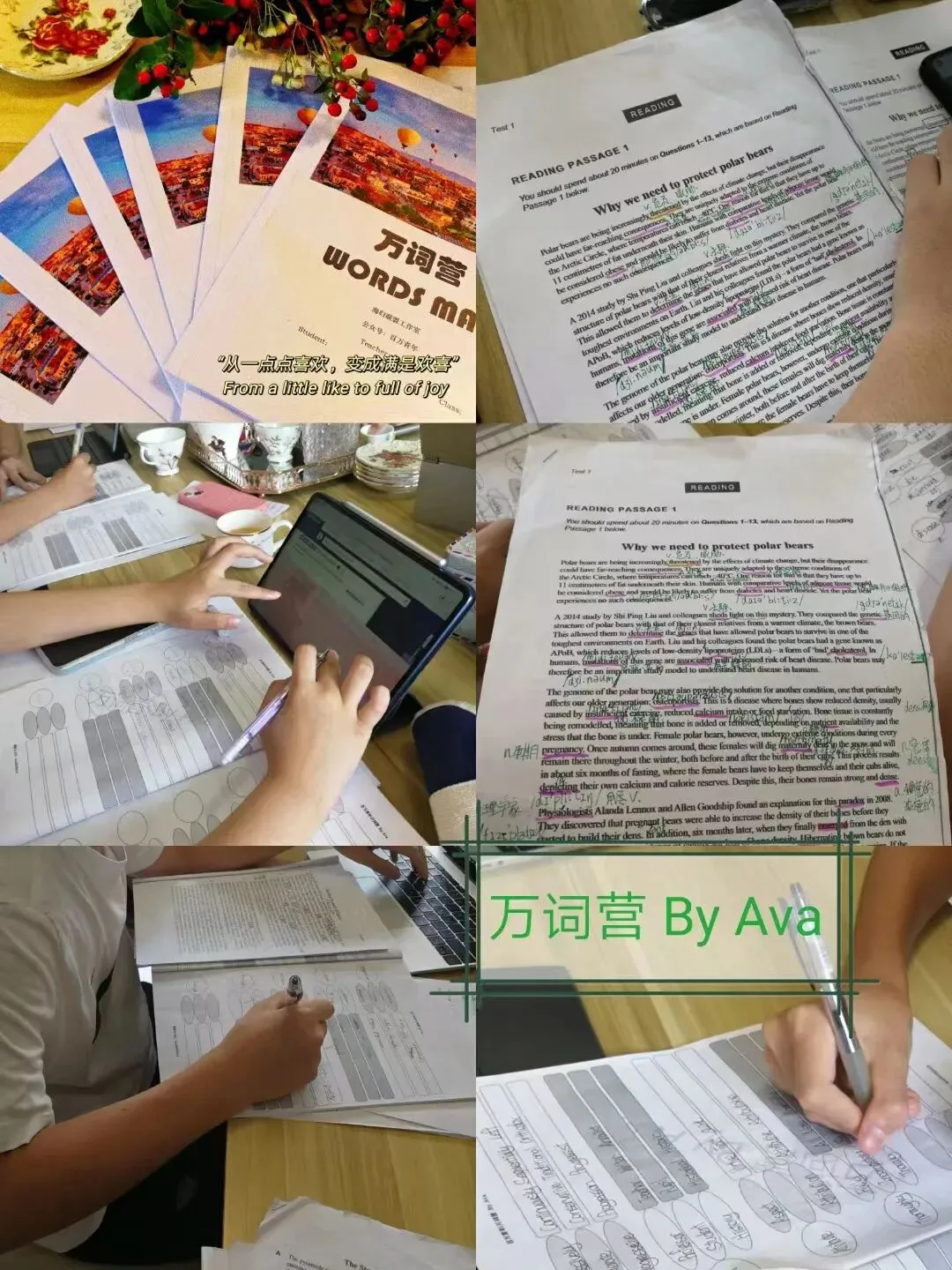 万词营·暑假集训 | 雅思真题中选词裂变,每天100+ 第5张