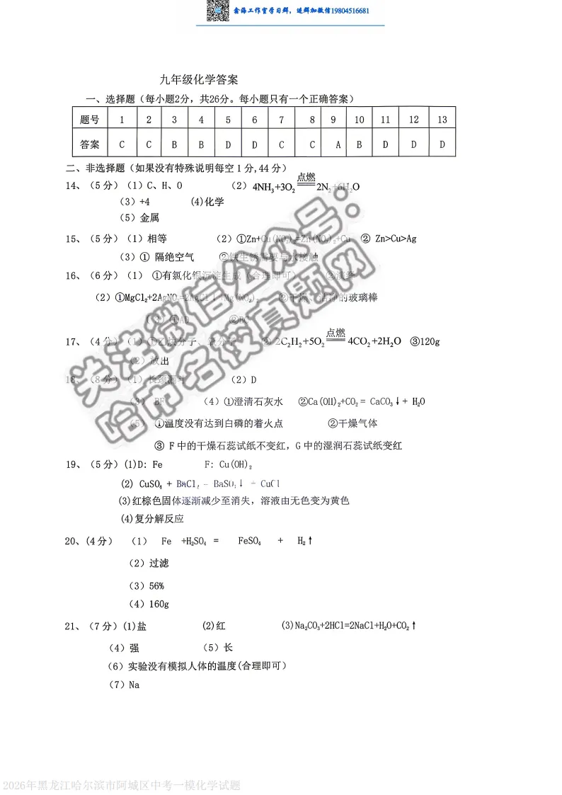 2026哈尔滨阿城区九年级下一模化学 试卷+答案 第8张