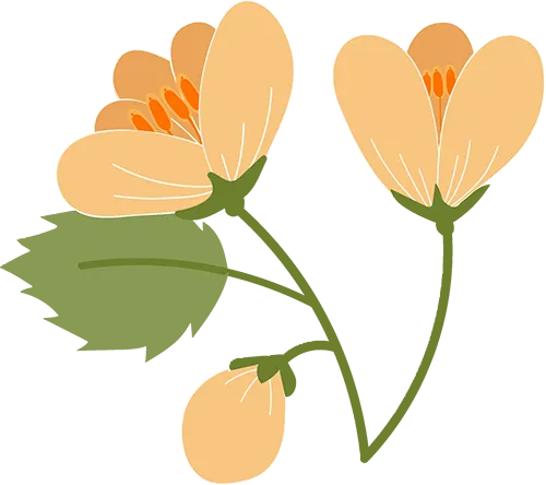 一本真题分类 中考 第8张