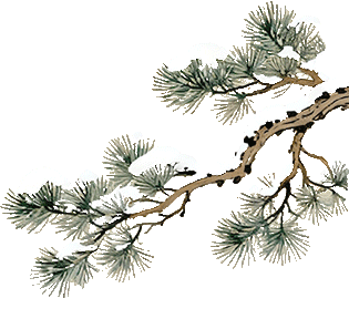 【江西省考面试真题解析】:2025 年 4 月 26 日 县乡岗 第4张