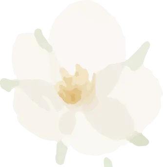 【试卷+答案】重庆市2026届康德二诊语文 第8张