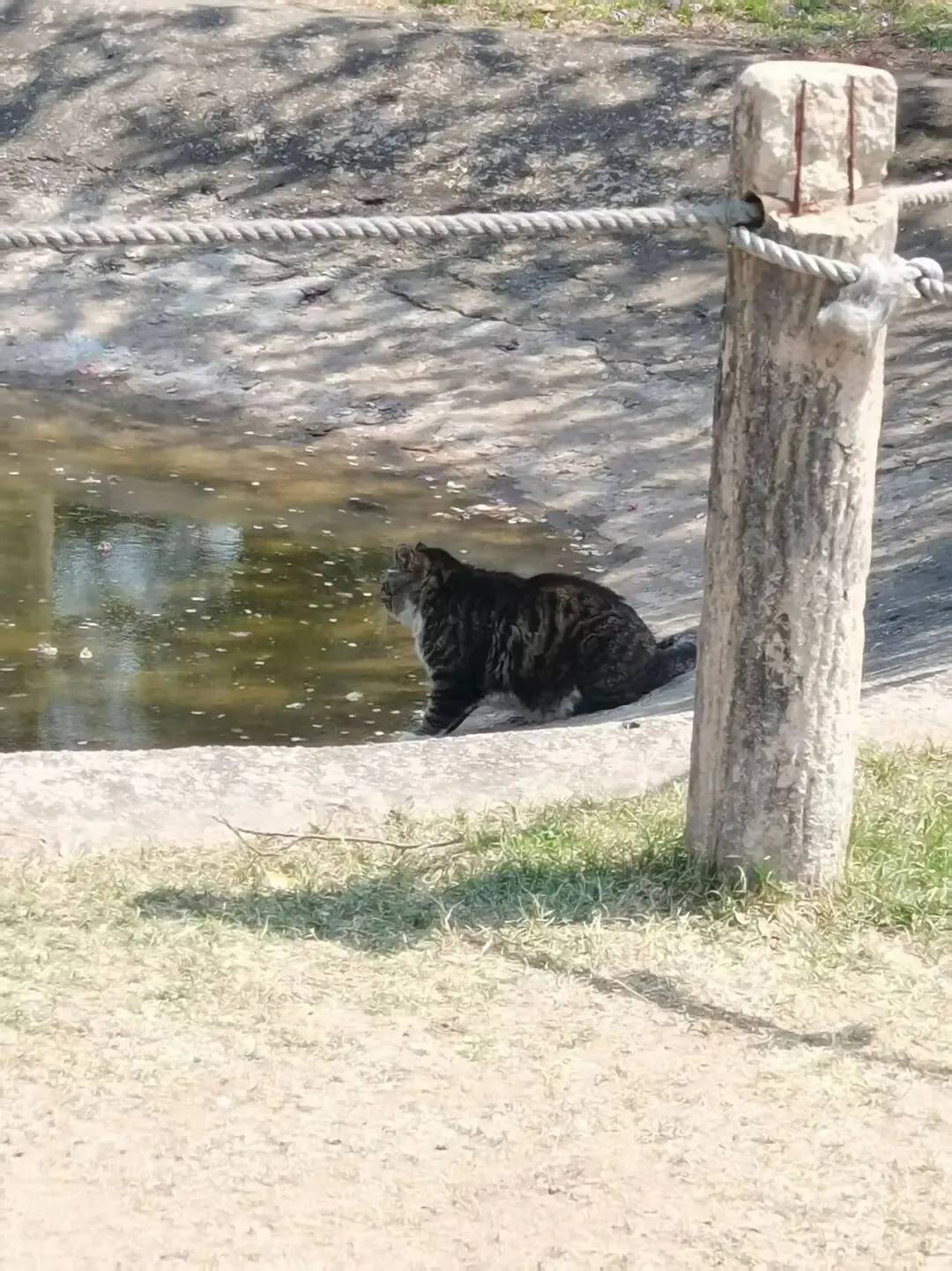 中考文言文句子翻译专项复习 第1张