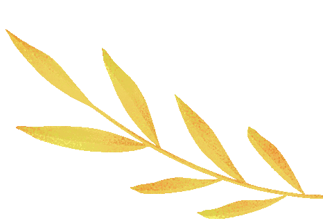 研思践悟“化学”路,同心护航“中考”梦 ——宜宾市初三化学集体备课活动在坤泰实验学校举行 第3张