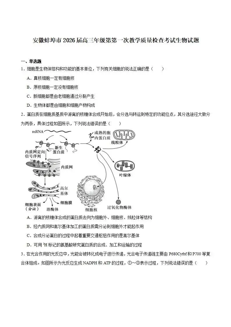 《高中试卷》安徽省蚌埠市2026届高三上学期第一次教学质量检查考试生物(含答案) 第2张