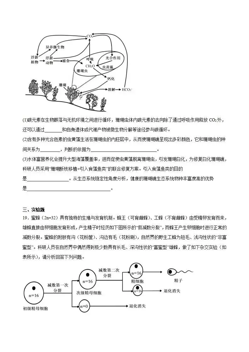《高中试卷》安徽省蚌埠市2026届高三上学期第一次教学质量检查考试生物(含答案) 第10张