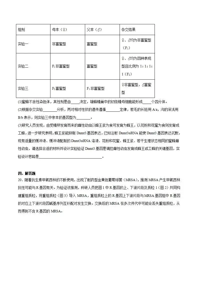 《高中试卷》安徽省蚌埠市2026届高三上学期第一次教学质量检查考试生物(含答案) 第11张